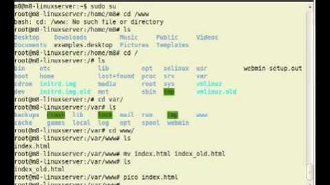 Servidor Web Apache Hosting Webmin