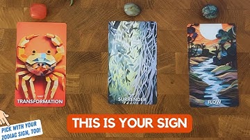 Your wish is coming true! 🥰🎉 | Timeless Reading