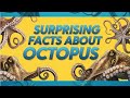 Octopuses: Arms, Not Tentacles! The SHOCKING Truth About Their Limbs!