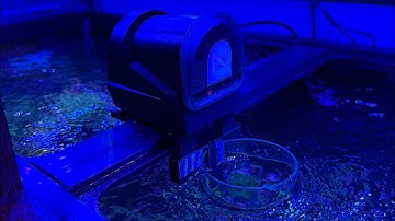 Setup of Apex AFS & Reef Tank Updates