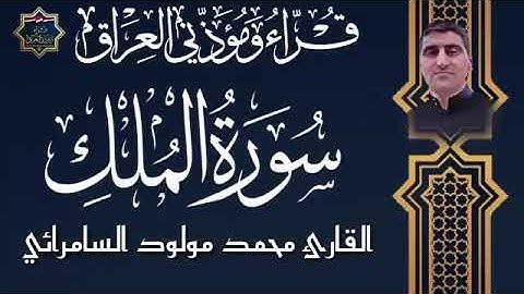القارئ محمد مولود الشاماني سورة الملك