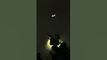 (فاصبر على ما يقولون وسبح بحمد ربك) سورة طه آيه ١٣٠ #راحة_نفسية #قرآن #محمد_ايوب #اصبر