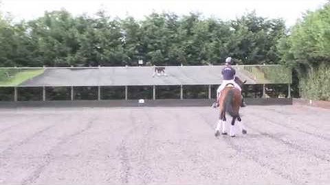 canter half pass