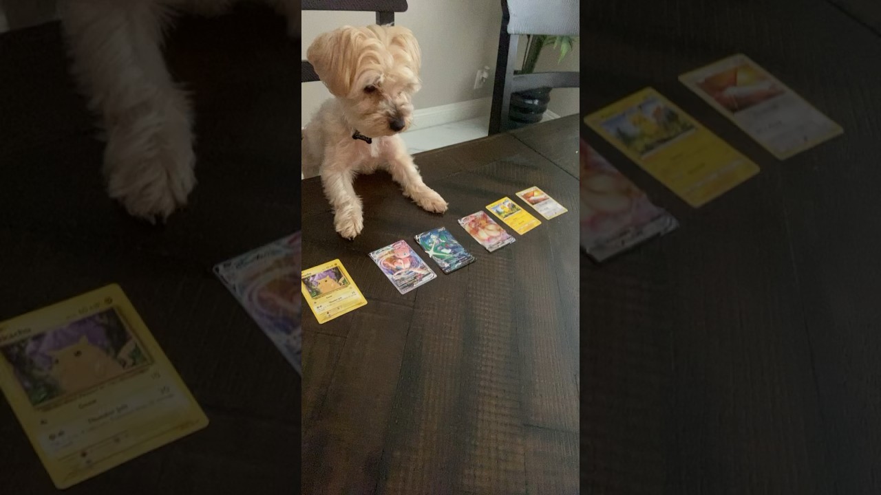 Pokémon cards battle with Goku 