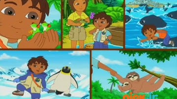 Go Diego Go - Intro (Nederlands)