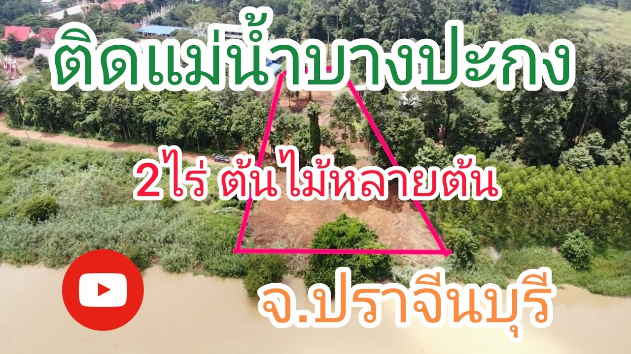 (ขายแล้ว)ขายที่ดินปราจีนบุรี รหัสA93 ที่ดินติดแม่น้ำบางปะกง ต้นไม้ใหญ่หลายต้น 2ไร่ 750,000บ.