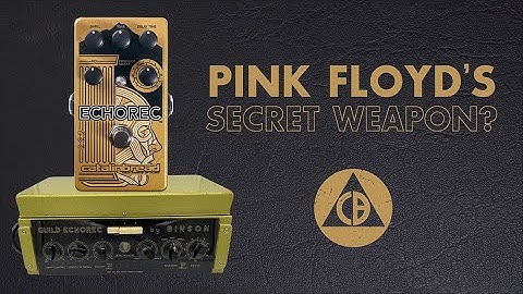 Catalinbread Echorec Multi-Head Delay