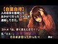 人の忠告を無視して出かけて行ったコトメが連絡してきた。コトメ「は、早く迎えにきて！！」 私「ええ…」 コトメ「やだあああ！早くきてよおお！！」 私「」そのままスマホの電源を切ってやった→実は……結果