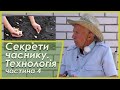 Чеснок. Технология выращивания без полива. Часть 4. Технологія вирощування без поливу. Частина 4