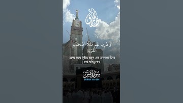সূরা ইয়াসীন তেলাওয়াত سورة يس#bangladesh #quran 😱😱🎙️🎙️
