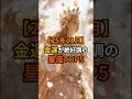 25年11月 金運が絶好調の星座TOP5 #スピリチュアル #占い #開運