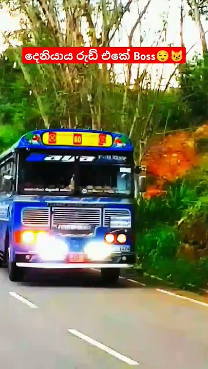 දෙනියාය රුඩ් එකේ Boss..😌😼 #teamsasindu #trending #teambus #automobile #slbusfans #sasiyabro