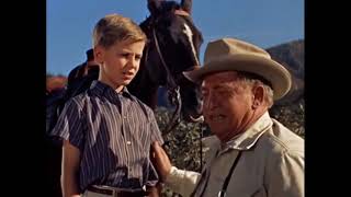 The Sad Horse (1959) David Ladd, Chill Wills, Patrice Wymore, Rex Reason