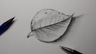 تعليم الرسم | رسم ورقة شجرة بالرصاص | رسم سهل | How to draw a Leaf
