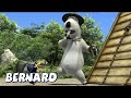 Медвежонок Бернард | Авария! и многое другое | Мультфильмы для детей | Полные серии