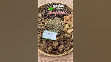 Bộ ngâm rượu bổ thận 5 vị: ba kích, nấm ngọc cẩu, sâm cau đen, quả trâu cổ, bạch tật lê.. Giá rẻ ..