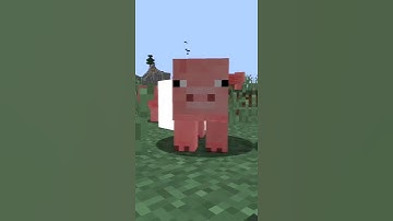 Minecraft TNT: Biggest Explosion #shorts