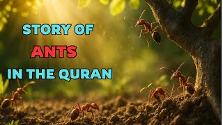 Ants in the Quran: What Allah Revealed Will Shock You to the Core!