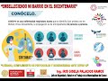 “CUIDADO, PROTOCOLOS Y BIOSEGURIDAD ANTI COVID 19” - Ing. IRIS GISELA PALACIOS