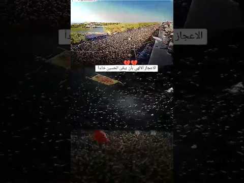 ملايين للحسين زيارة الأربعين