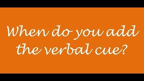 5. Adding a verbal cue