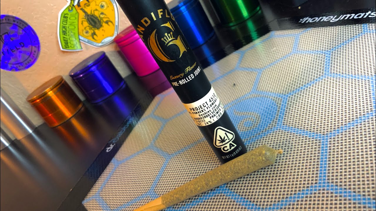 Grandiflora Genetics: Project 4510