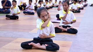 International Yoga Day Celebration 2019 At Sjk T Bandar Sri Sendayan Youtube