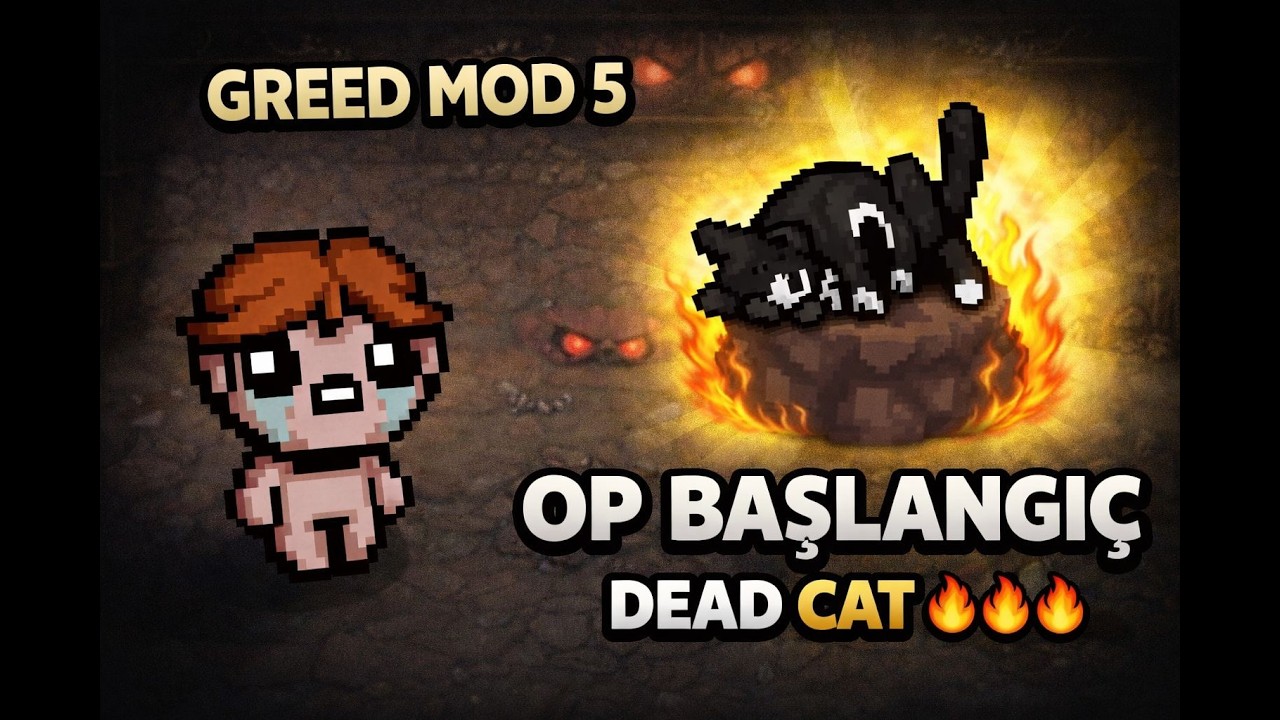 Greed Mode #5 | İlk Kattan Dead Cat!!