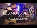 Capture de la vidéo Les Mots Bleus Christophe