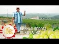 #Португалия: винная дорога | ЖДЁМ В ГОСТИ