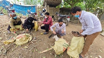 Vợ Chồng Trẻ A Quả Đã Có Định Hướng Phát Triển Kinh Tế Mới | Cói Lalin