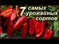 САМЫЕ УРОЖАЙНЫЕ СОРТА СЛАДКОГО ПЕРЦА