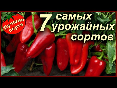 Видео: Разные виды сладкого перца - узнайте о различных сортах сладкого перца