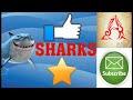 Sharks  fun facts  azhar free learning bymo.azharuddin