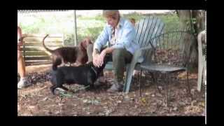FOHA Buddies   10 9 2014