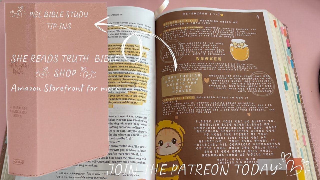 Мой обновленный распорядок дня с CSB: она читает Библию для изучения и библейские заметки ☕⛪🌼🌷 Из...