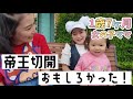 【ママ会(前編)】同級生が出産の体験談をお話ししてくれました!【帝王切開】