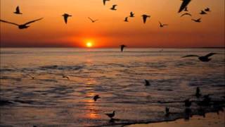 Marcus Viana - Sublime