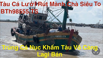 Tàu Cá Lưới Rút Siêu To-BTh-98555-TS Trúng 5.Hầm Cá Nục.Khẩm Tàu Vô Cảng Lagi Hải Sản Tươi Sanh 