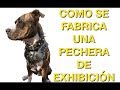 Como se Fabrica una pechera de Exhibición  para Perros