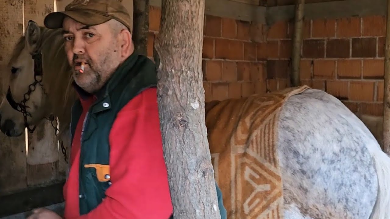 Ibrahim: s Kasimom sam zamjeno konja a ima još prinove