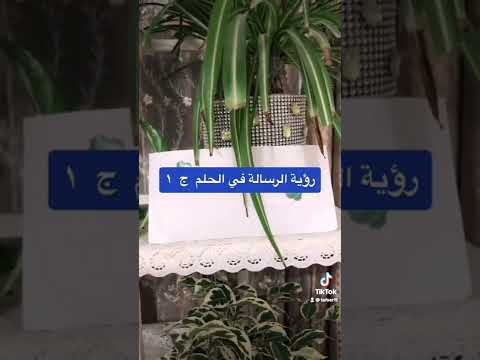 رؤية الرسالة في الحلم ١
