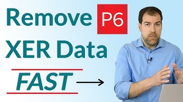 P6 XER Files: Fastest Way To Remove Data From Them