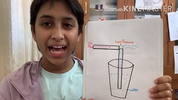 Simple Science Experiment - Bernoulli