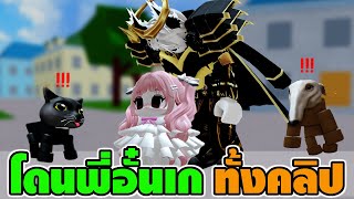 Roblox BloxFruits แปลงร่างเป็นแมวดำไปแกล้งพี่อั๋น [จะแกล้งได้ไหมเนี่ย]