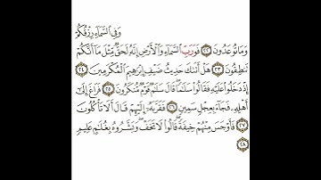 سورة الذاريات 3 القسم الثالث تكرار كيفي من .. وفي السماء رزقكم وما توعدون .. إلى .. بغلام عليم