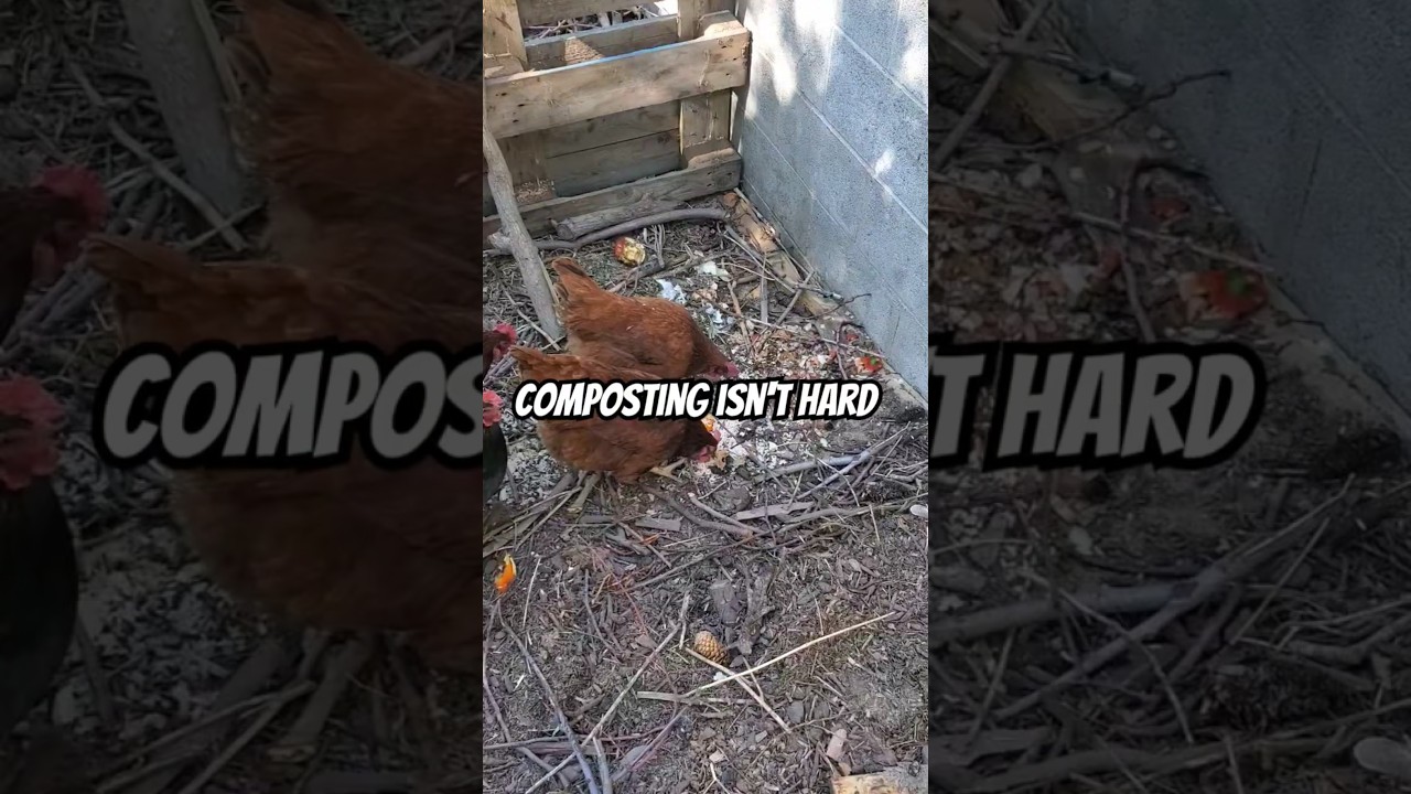 Composting Can Be Simple 