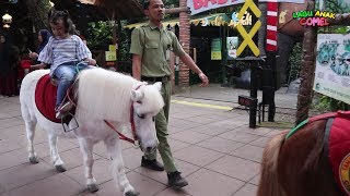 Naik Kuda Poni Lucu Naik Delman Istimewa Lagu Anak Populer