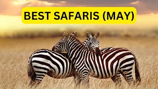 Best African Safari Destinations In May (2023)