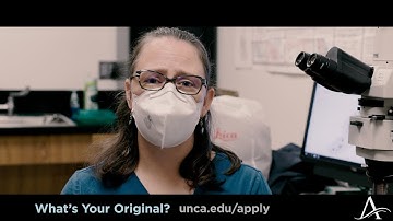 Original Minds in a Minute: Dr. Brittani McNamee